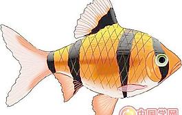 海洋生物