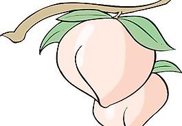 矢量桃子卡通
