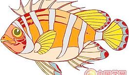 海洋生物