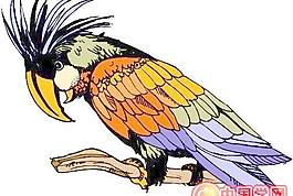 鳥(niǎo)類矢量