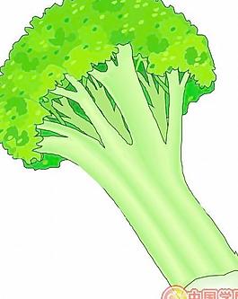 卡通蔬菜瓜果漫畫