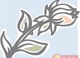牡丹玫瑰菊花