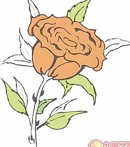 牡丹玫瑰菊花
