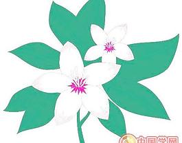 牡丹玫瑰菊花