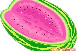 西瓜矢量圖