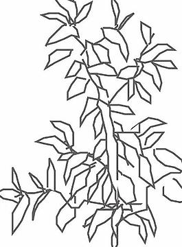 鮮花盆景矢量圖