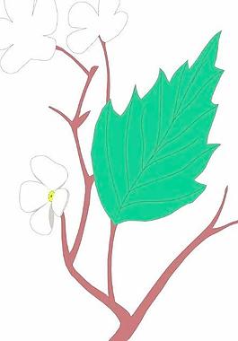 鮮花盆景矢量圖