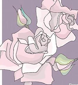 百合花康乃馨花朵