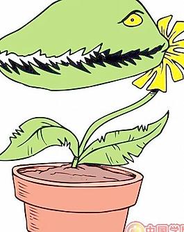 牡丹玫瑰菊花