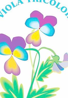 卡通矢量鮮花