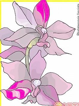 卡通矢量鮮花