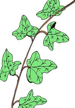 花草葉子樹葉