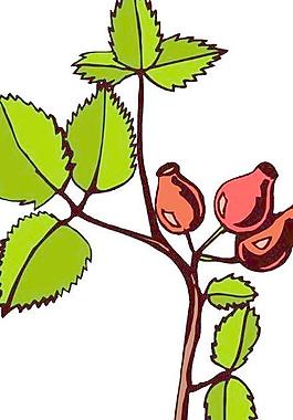 花草葉子樹葉