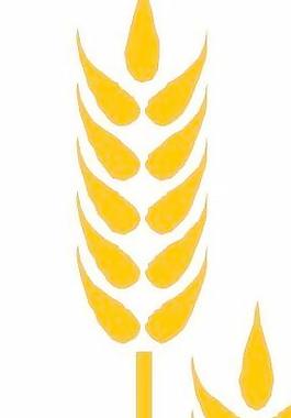 農(nóng)業(yè)莊稼農(nóng)田