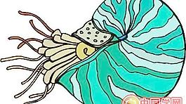 海洋生物