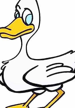 老鷹鴿子鳥類