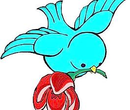 老鷹鴿子鳥類