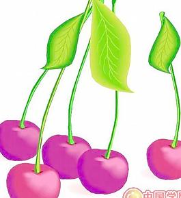 矢量卡通蔬菜