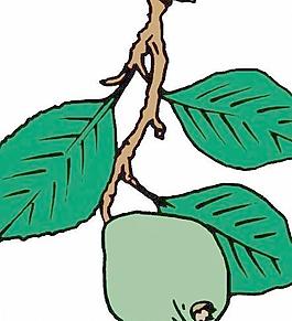 卡通蔬菜瓜果漫畫