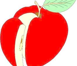 蔬菜矢量圖