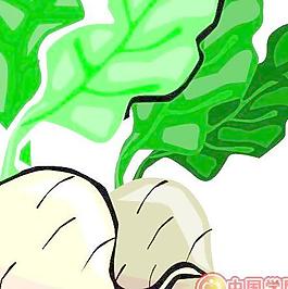 矢量蔬菜水果