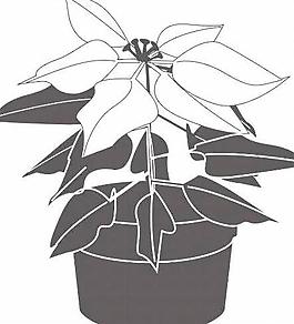 鮮花盆景矢量圖