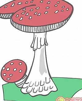 牡丹玫瑰菊花