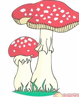 牡丹玫瑰菊花