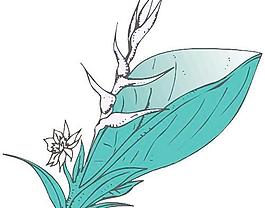 牡丹玫瑰菊花