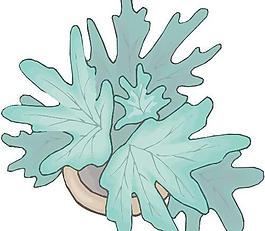 卡通矢量鮮花