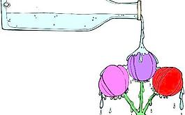牡丹玫瑰菊花