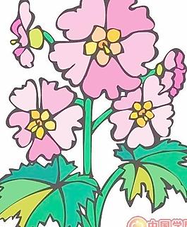 牡丹玫瑰菊花