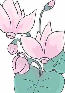 牡丹玫瑰菊花