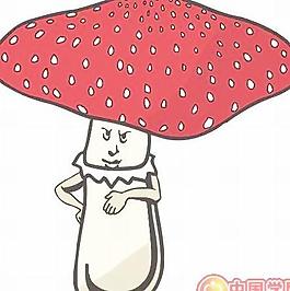 牡丹玫瑰菊花