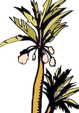 葉子樹葉花草
