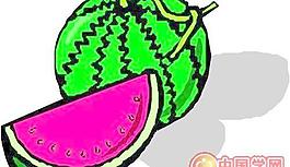 蔬菜水果卡通漫畫(huà)
