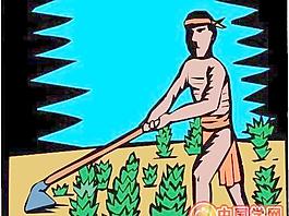 農(nóng)業(yè)莊稼農(nóng)田