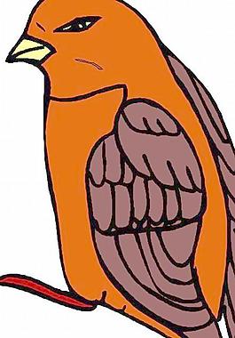鳥類矢量