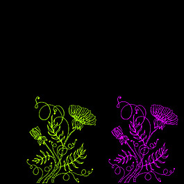 精細(xì)的手繪花紋