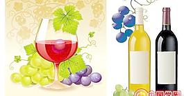 葡萄与葡萄酒矢量图