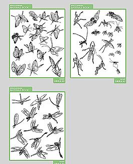 白描昆虫图片