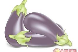 茄子蔬菜矢量圖下載