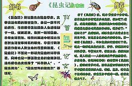 昆蟲記手抄報設(shè)計圖片