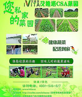 綠色蔬菜海報圖片