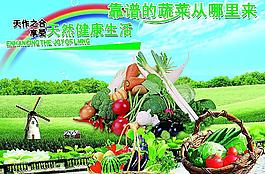 蔬菜海报图片