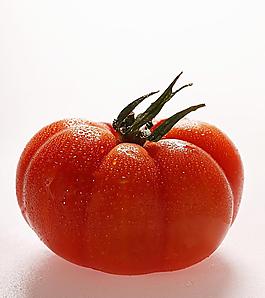 西紅柿圖片