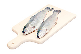魚類兩個新鮮的鱒魚