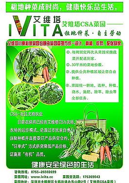 綠色蔬菜海報圖片