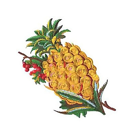 繡花 菠蘿 免費(fèi)素材