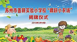 蔬菜图片